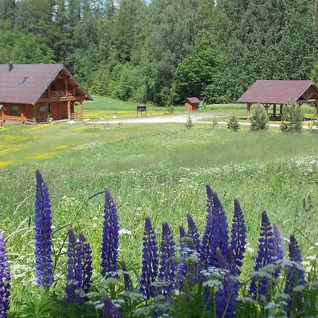 Kalnini Kārļi